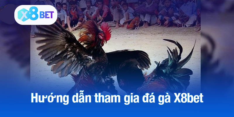 Hướng dẫn tham gia đá gà X8bet