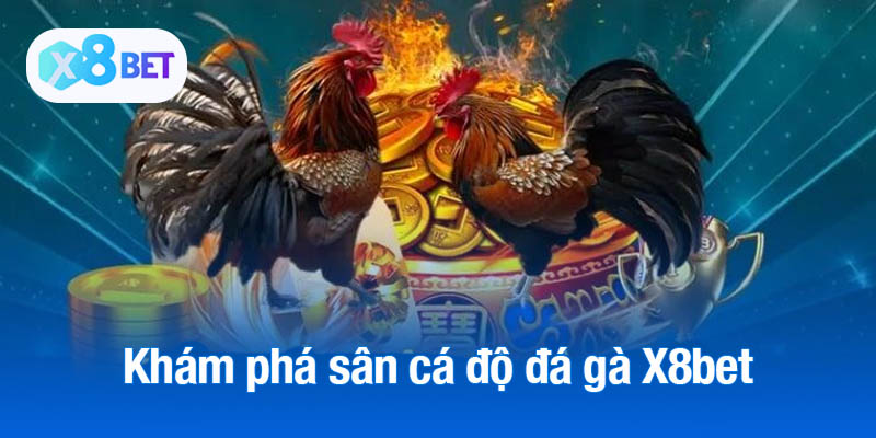 Khám phá sân cá độ đá gà X8bet